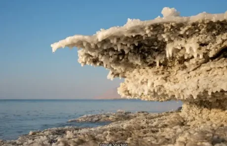 סדנאות צילום: הדרך להשתפר, ליצור ולהתחבר לעולם דרך העדשה
