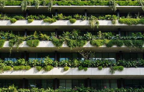 לא רק בשביל הסביבה: כך התקנים הירוקים החדשים מקצצים לכם את חשבון החשמל