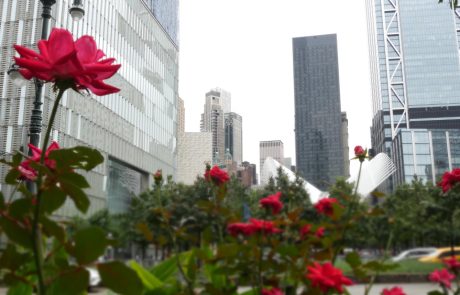 מדוע מגדלי משרדים בתל אביב הם השקעה נבונה היום